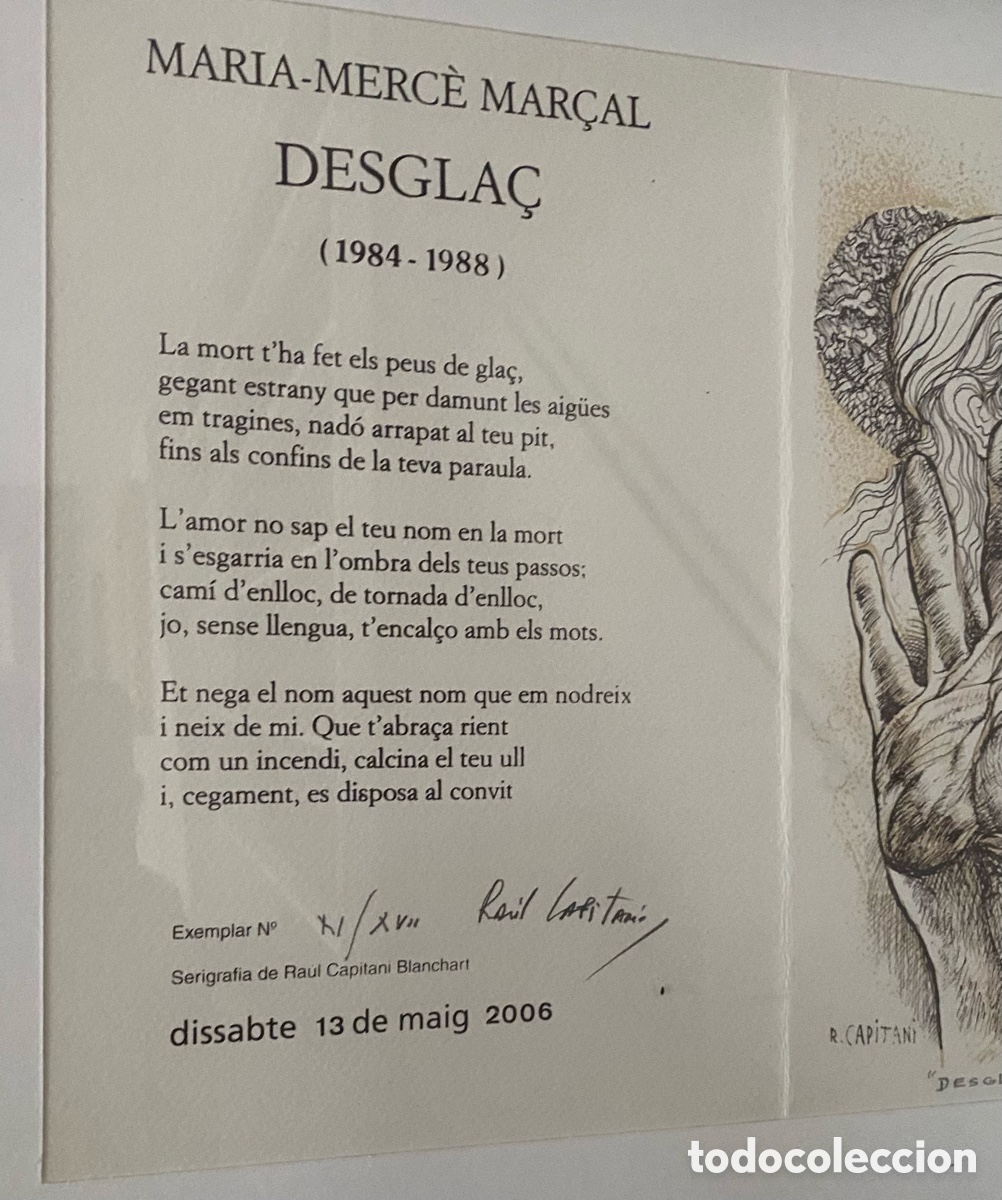 Arte: Serigraf&iacute;a de Raul Capitan&iacute; - Foto 7