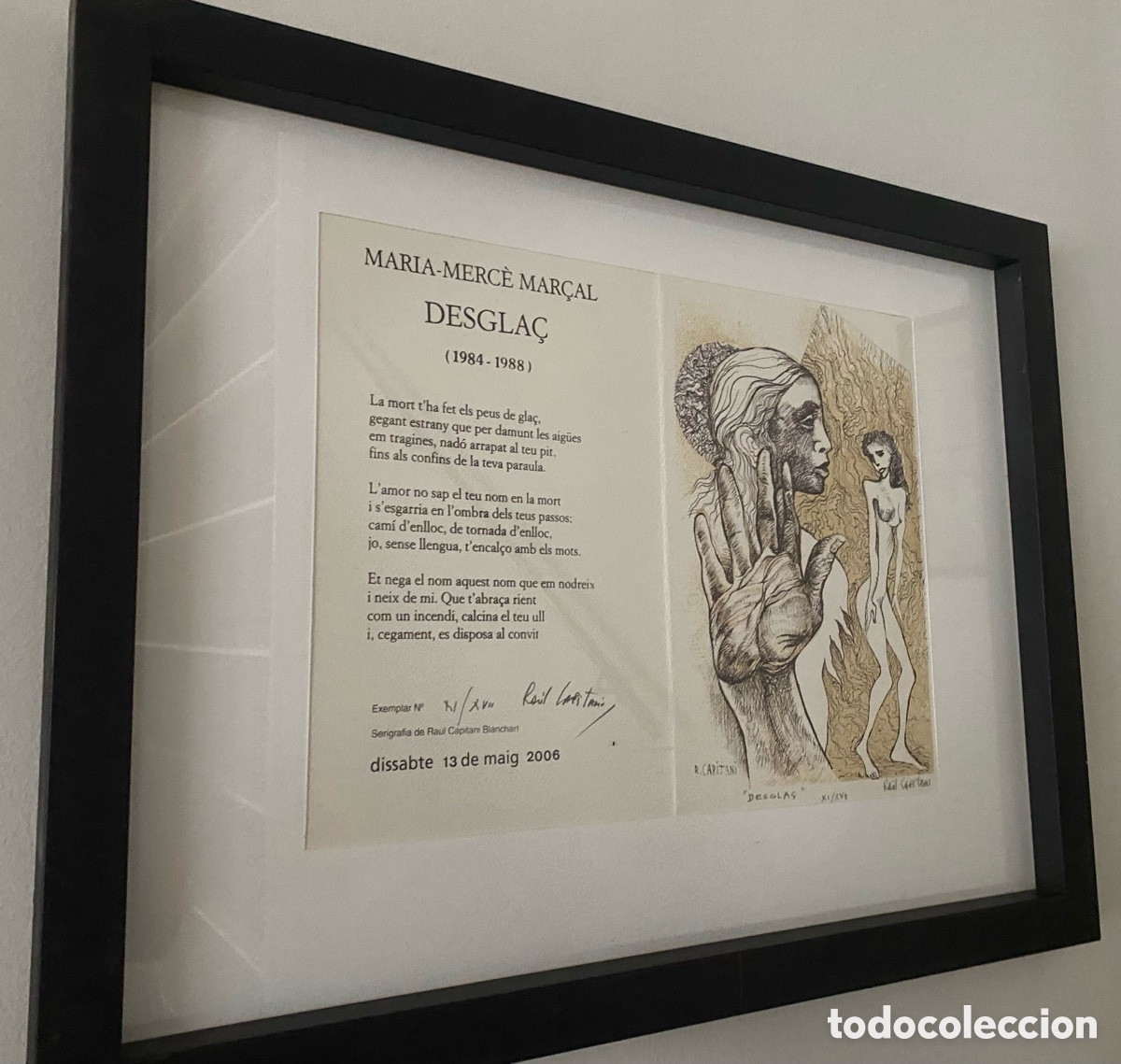 Arte: Serigraf&iacute;a de Raul Capitan&iacute; - Foto 8