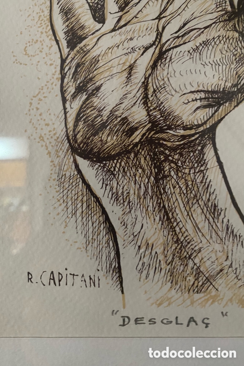 Arte: Serigraf&iacute;a de Raul Capitan&iacute; - Foto 10