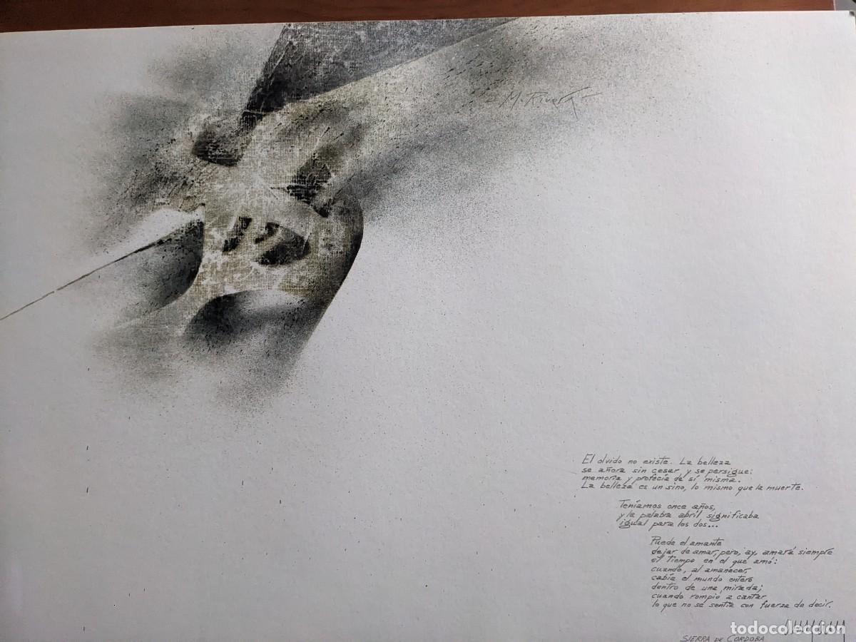 Arte: Manuel Rivera: Andaluc&iacute;a - Foto 1