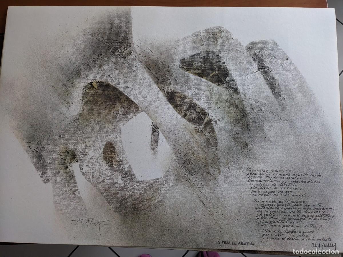 Arte: Manuel Rivera: Andaluc&iacute;a - Foto 6