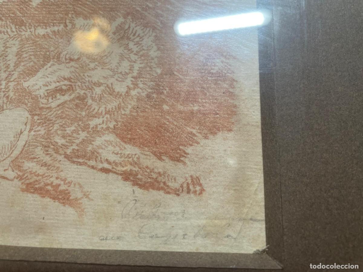 Arte: Aguafuerte de Pietro da Cortona - Foto 4