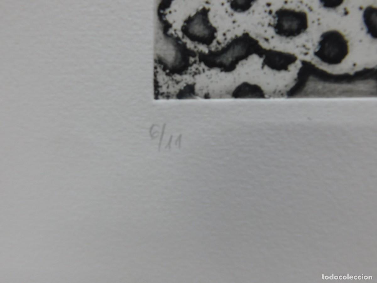 Arte: GRABADO SOBRE PAPEL - JARD&Iacute; - Foto 5