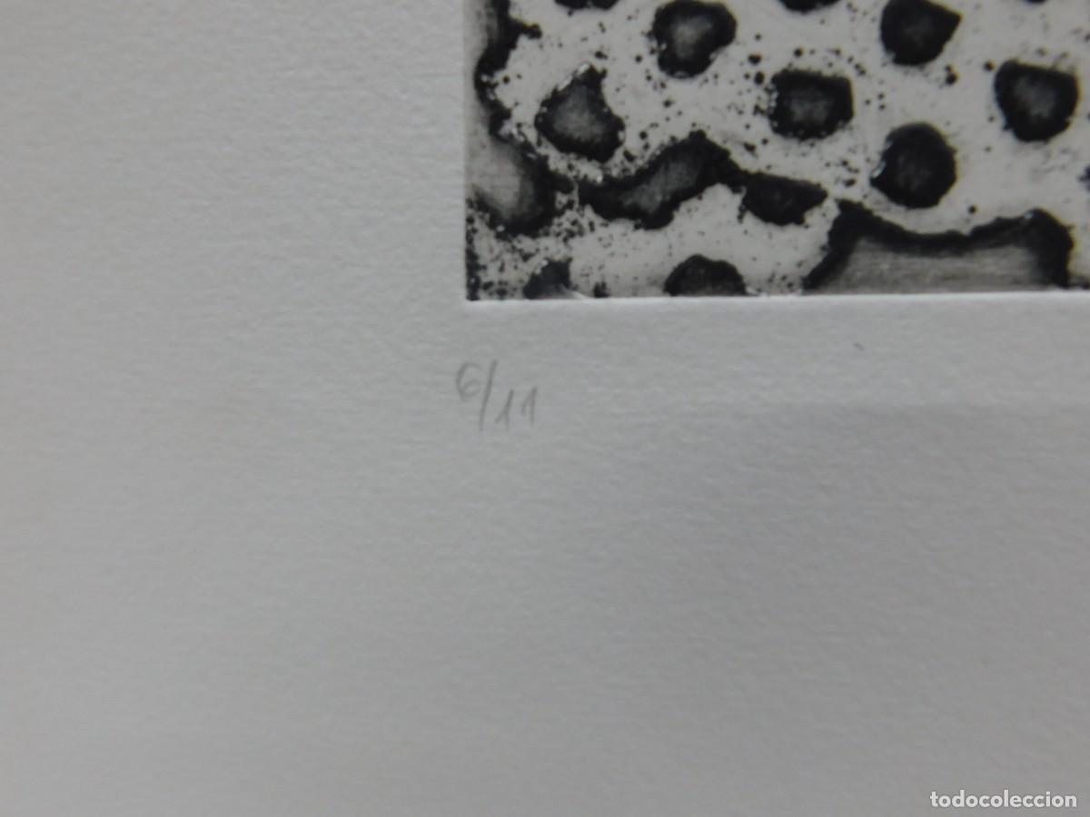 Arte: GRABADO SOBRE PAPEL - JARD&Iacute; - Foto 6