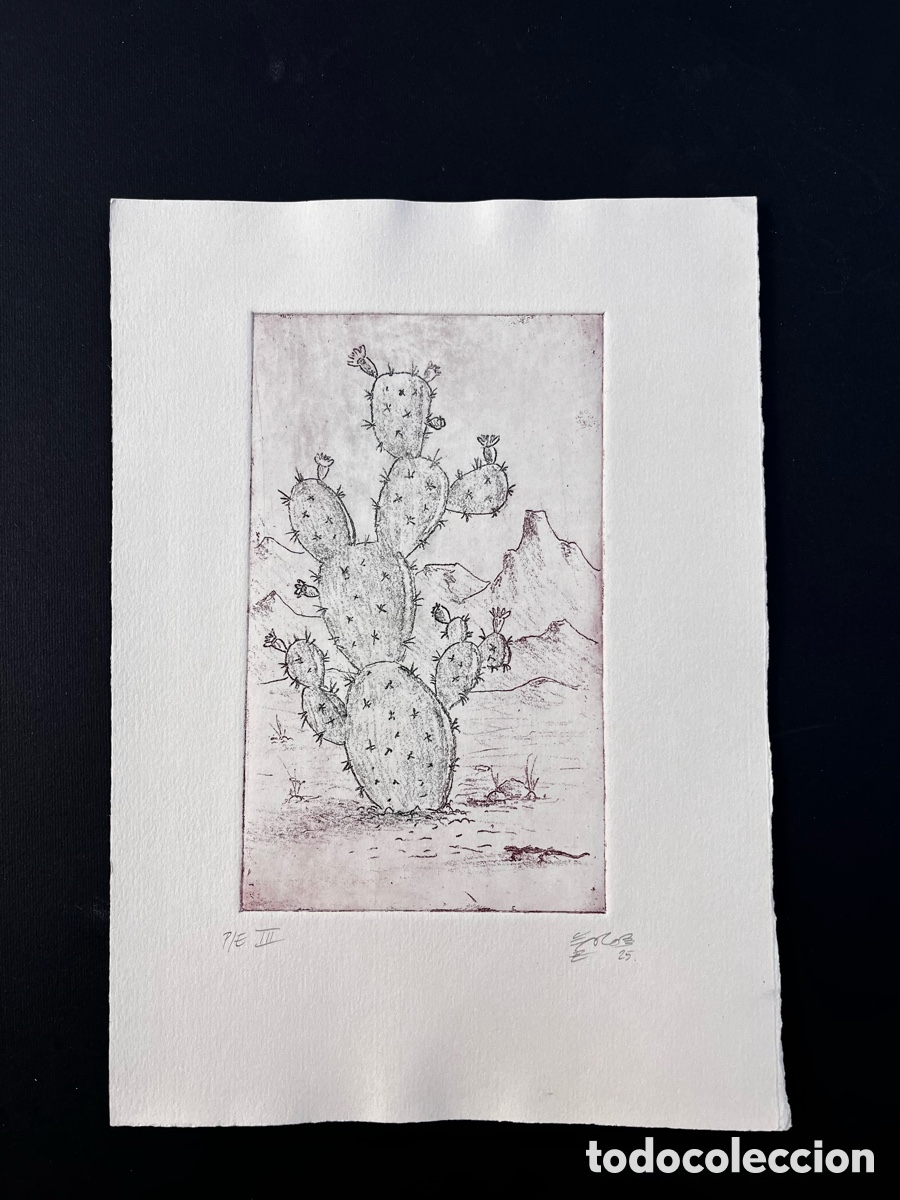 Arte: Cactus. Aguafuerte al Barniz blando - Foto 2