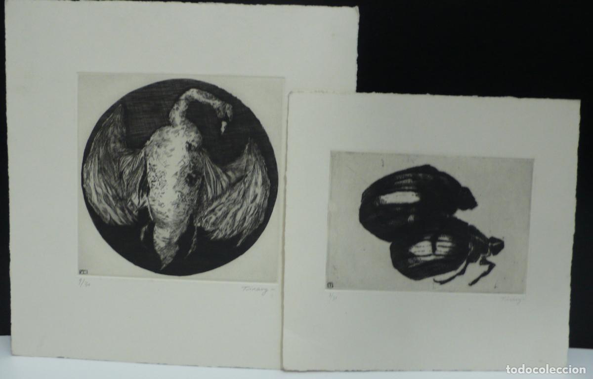 Arte: DOS GRABADOS DE ANIMALES - Foto 1