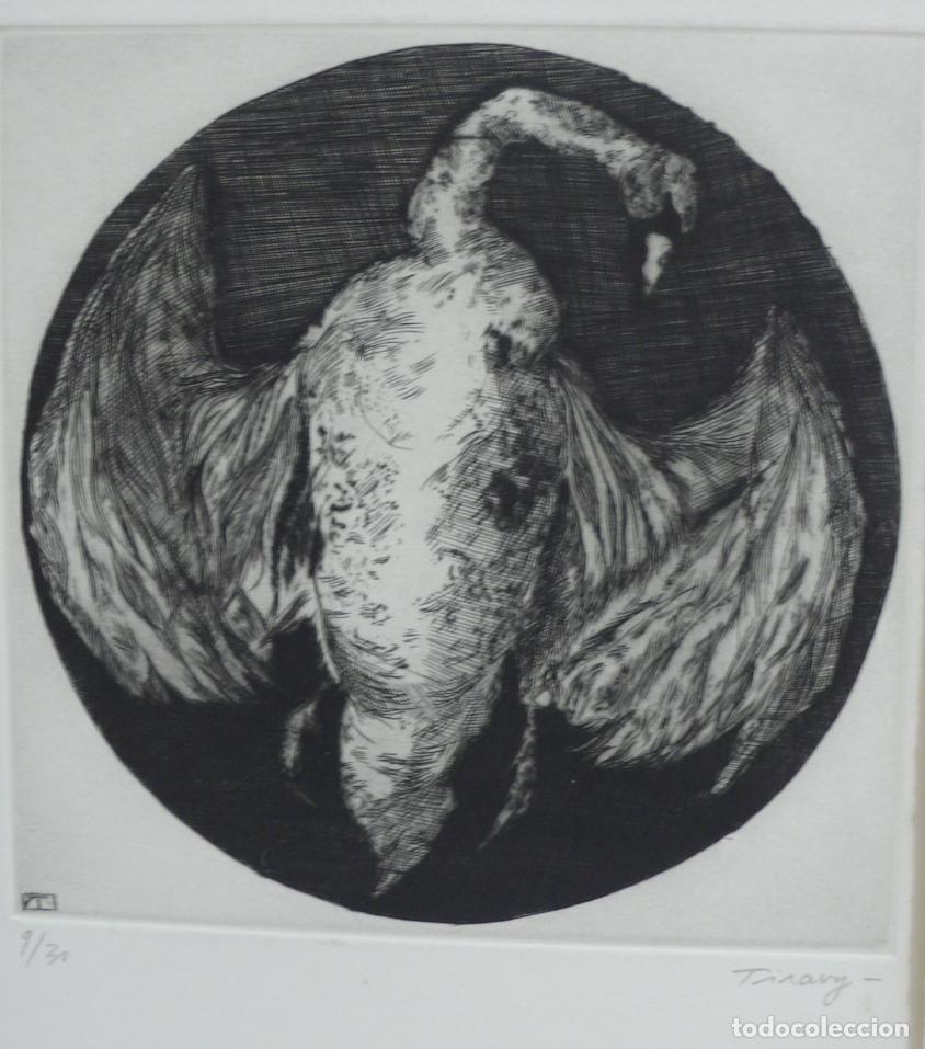 Arte: DOS GRABADOS DE ANIMALES - Foto 2