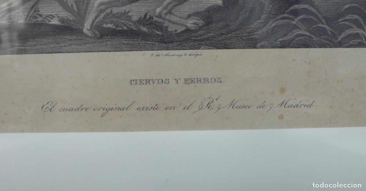 Arte: GRABADO DE CASERIA DE CIERVO - Foto 3