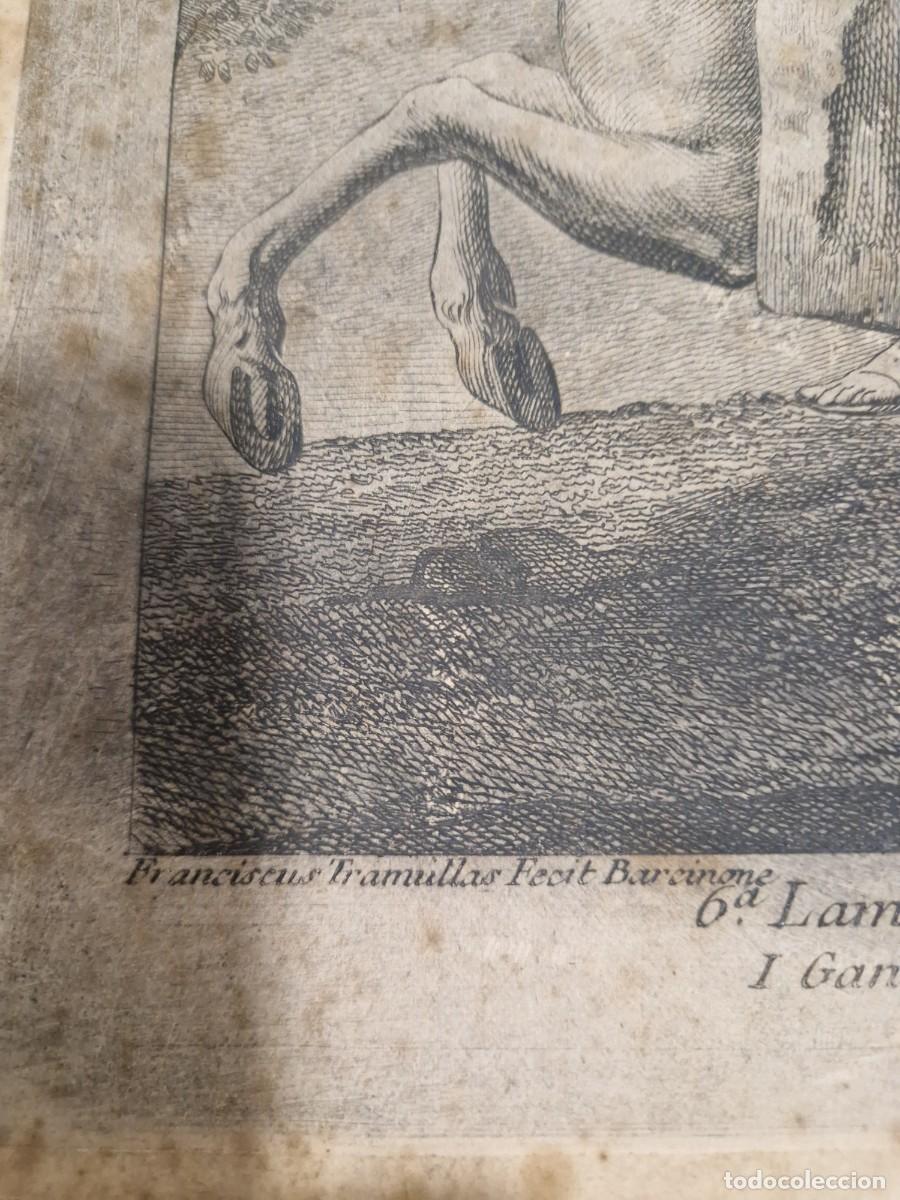 Arte: FRANCESC TRAMULLAS ROIG (1722-1773) - Foto 16