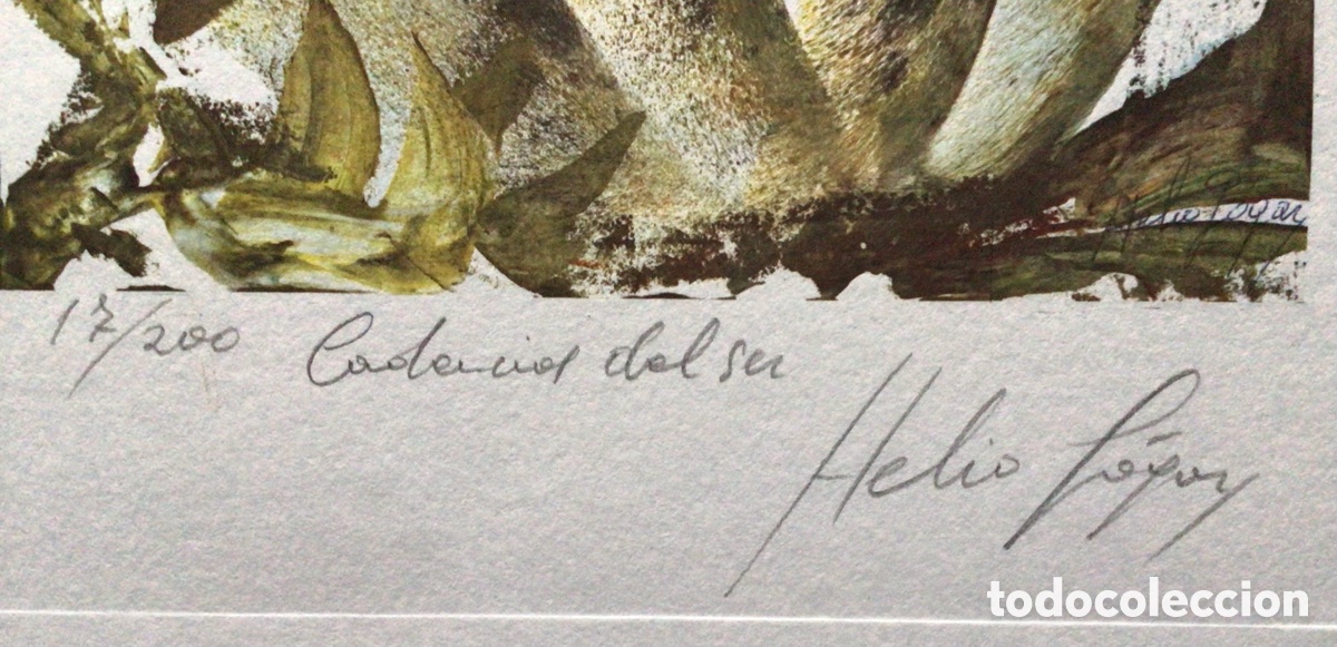 Arte: Grabado Helio Gogar . Cadencias del Ser - Foto 6