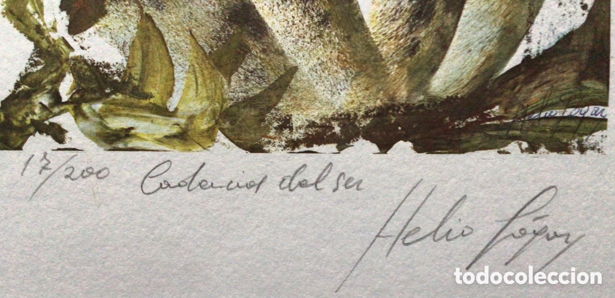 Arte: Grabado Helio Gogar . Cadencias del Ser - Foto 7