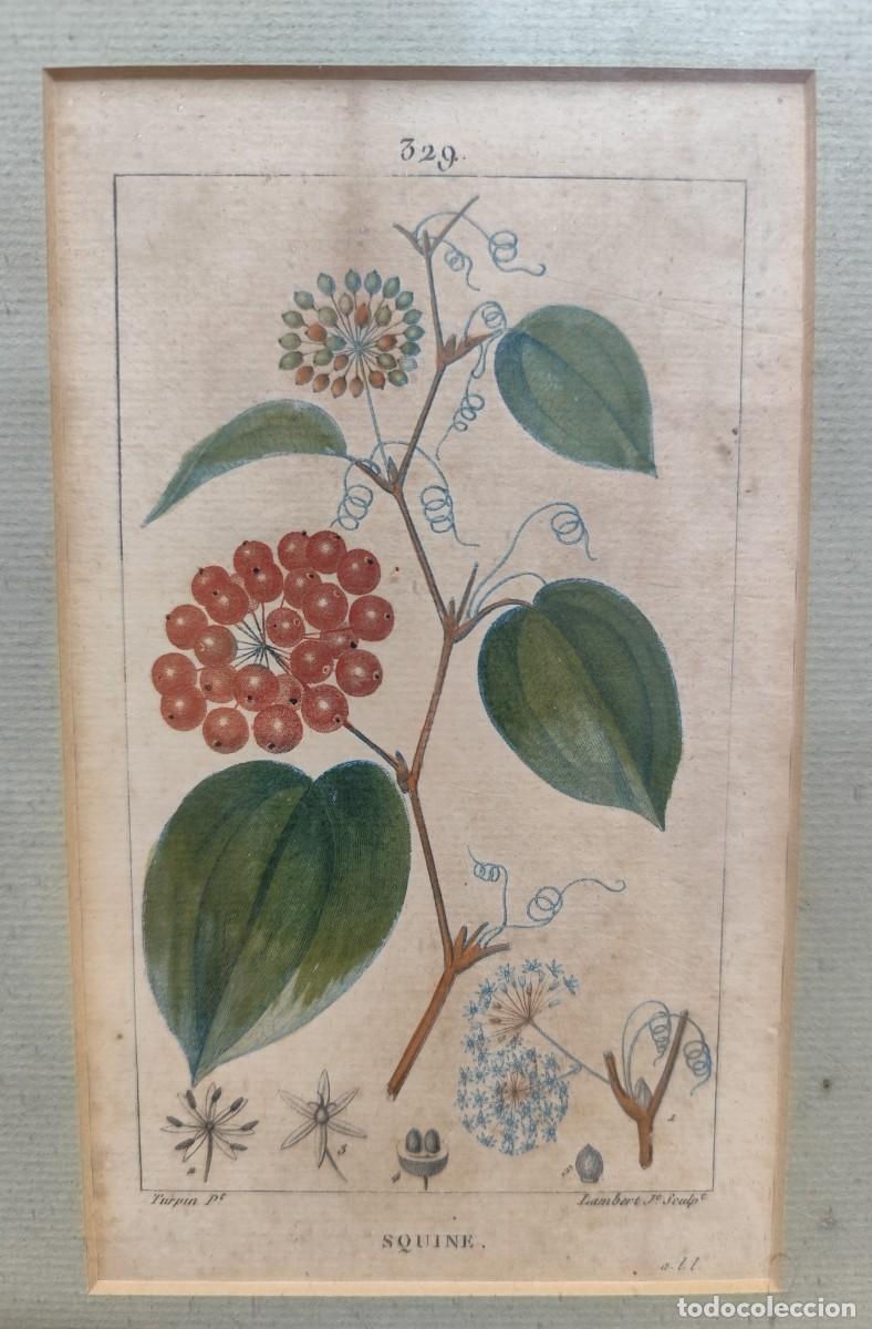 Arte: Cuadro con grabados de flores - Foto 4