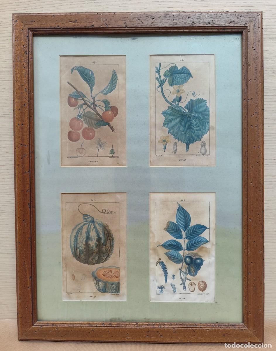 Arte: Cuadro con grabados de flores - Foto 1