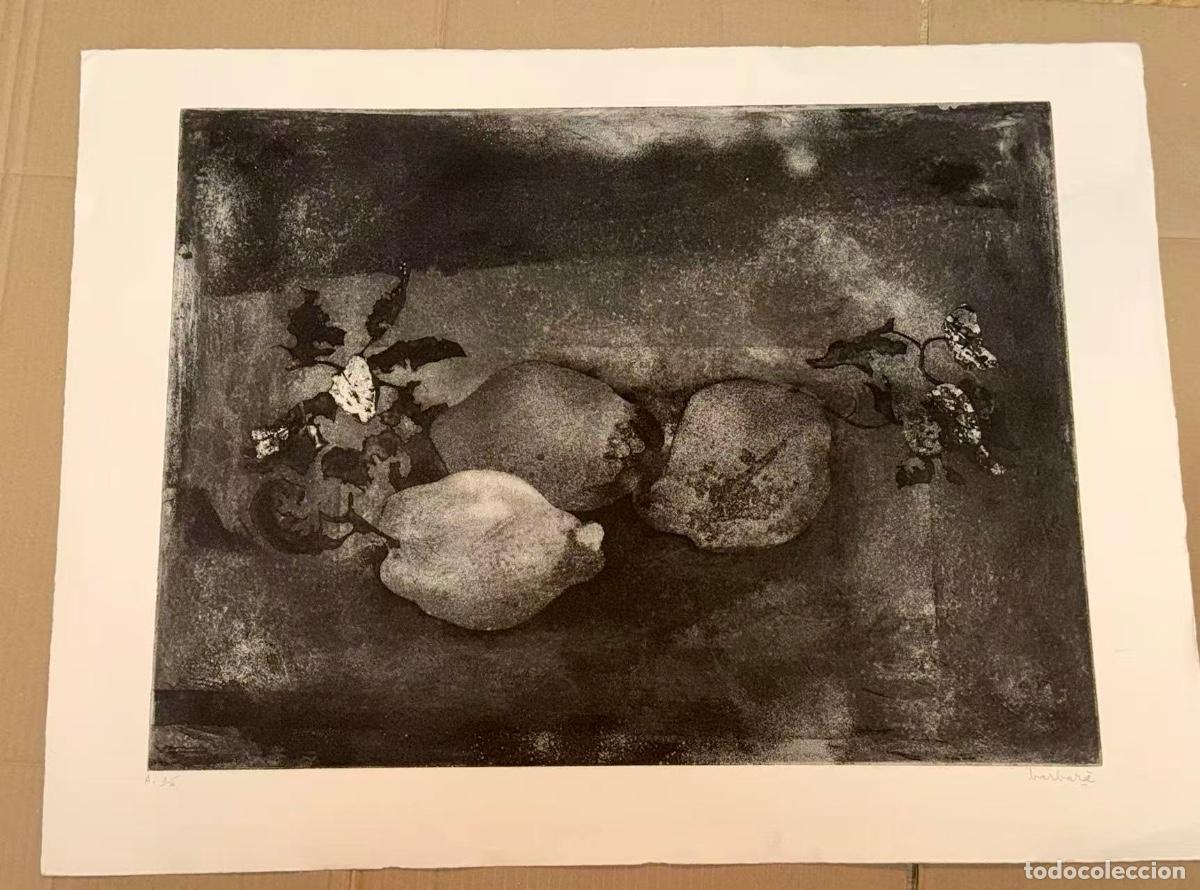 Arte: Bodeg&oacute;n de membrillos---Joan Barbar&agrave; - Foto 2