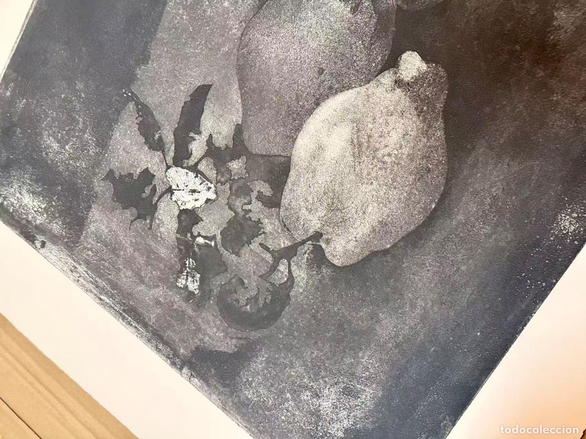 Arte: Bodeg&oacute;n de membrillos---Joan Barbar&agrave; - Foto 4