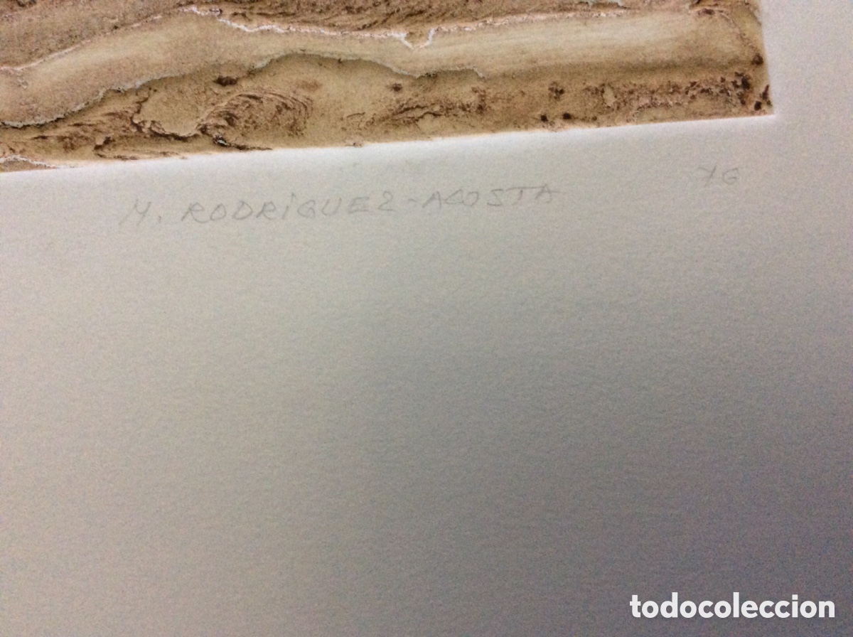 Arte: MIGUEL RODRIGUEZ ACOSTA - Foto 4