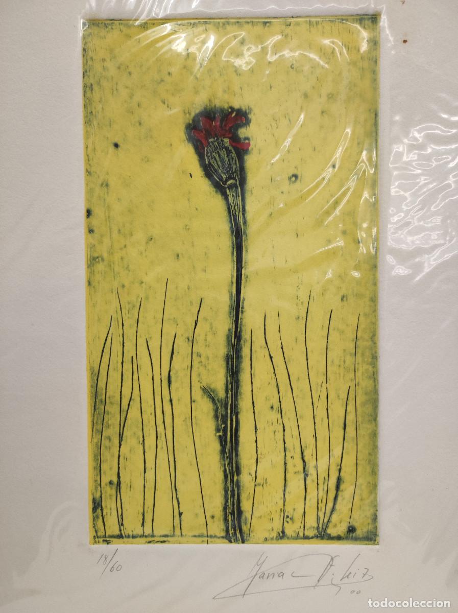 Arte: Marian Fern&aacute;ndez Seiz - Foto 2