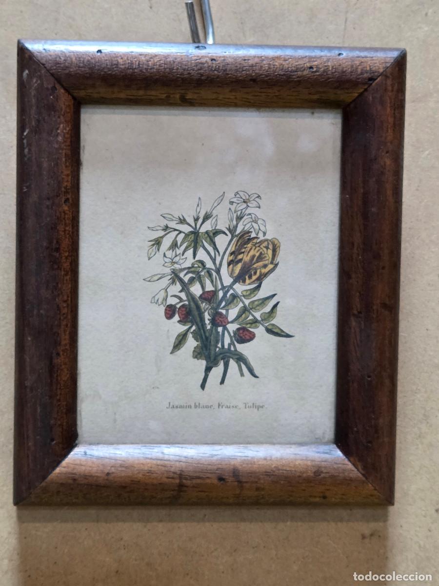 Arte: cuadro con grabado de flores - Foto 1