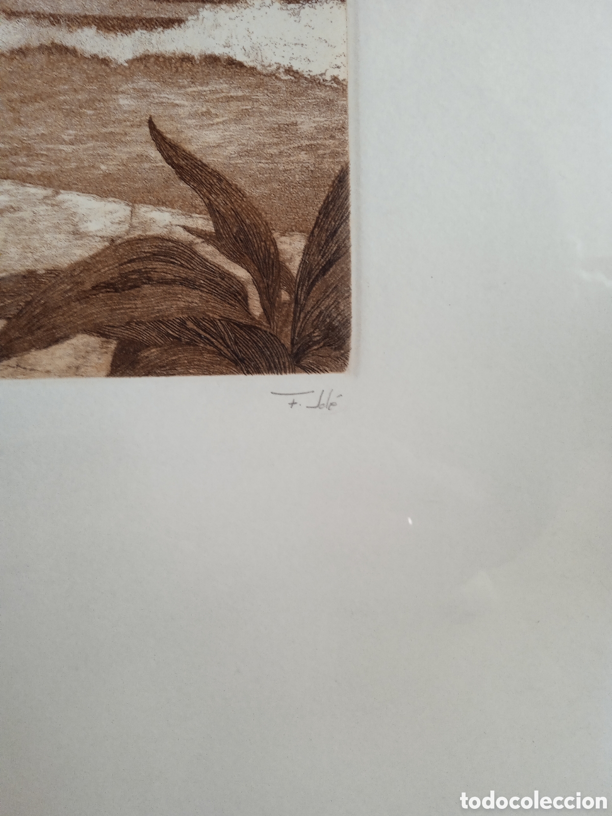 Arte: Cuadro con grabado de Francisco Sol&eacute; - Foto 3