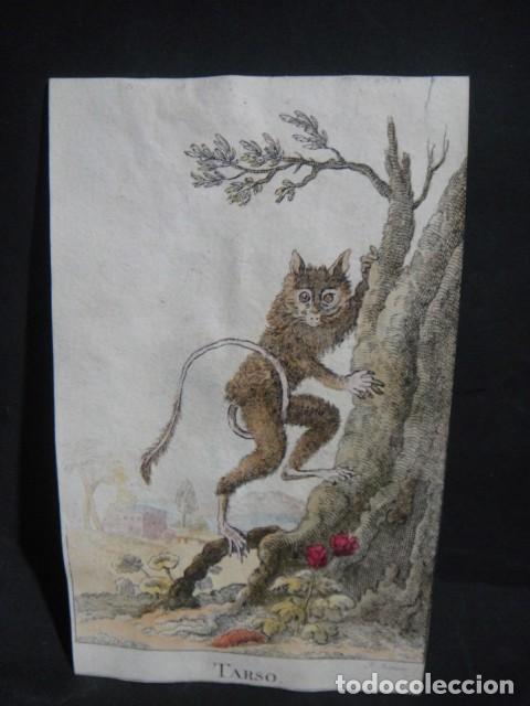 Arte: tarso , grabado siglo VXIII - Foto 1