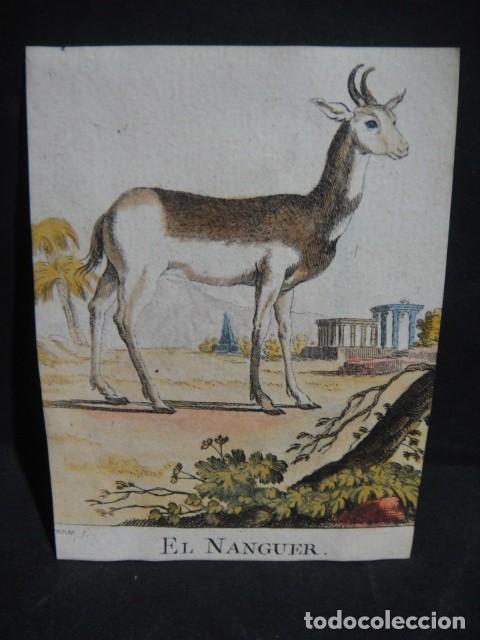 Arte: nanger , grabado siglo VXIII - Foto 1