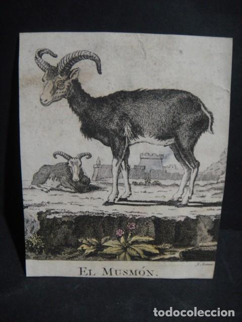 Arte: musm&ograve;n , grabado siglo VXIII - Foto 1