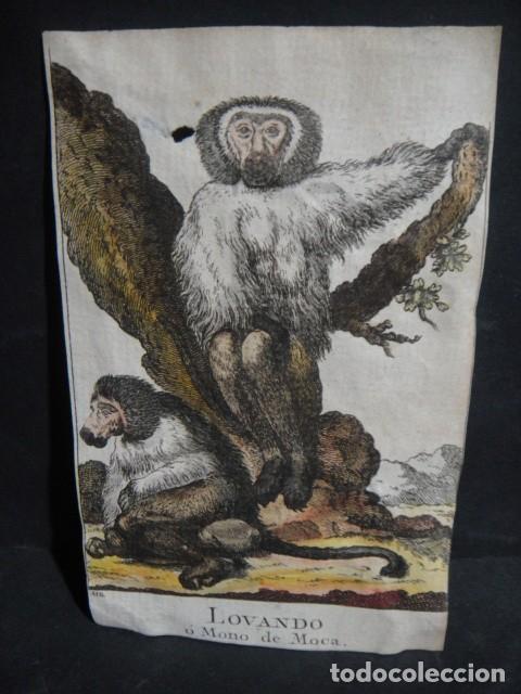 Arte: lovando , grabado siglo VXIII - Foto 1