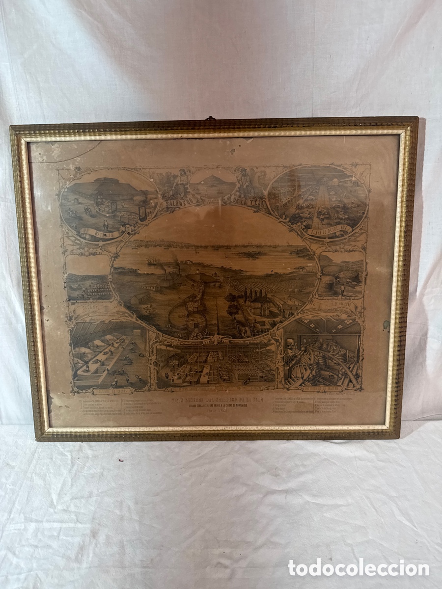 Arte: Grabado antiguo de la Vista general del saladero de la teja, Montevideo Uruguay en el r&iacute;o de la Pla