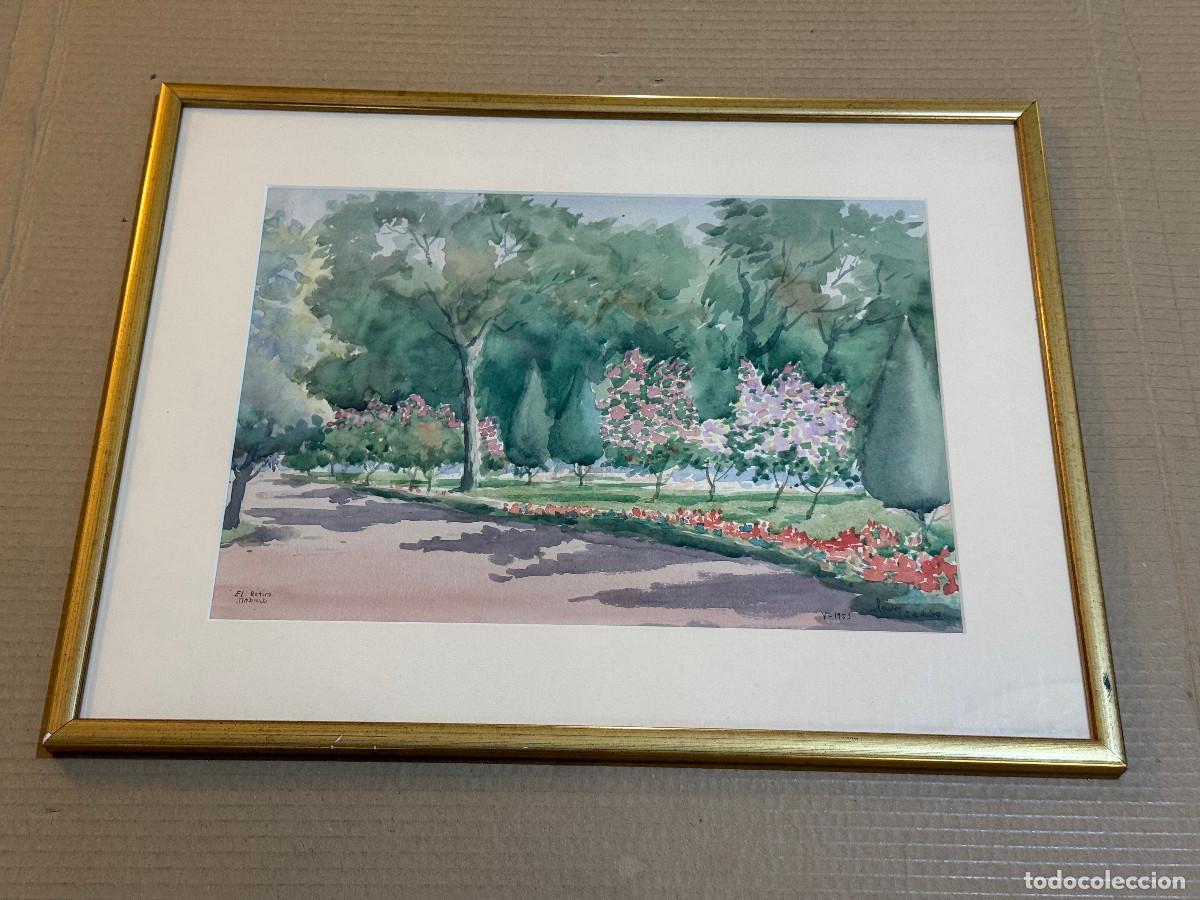 Arte: CARLOS G. DE ANDRES / EL RETIRO, 1953 / &iquest;GRABADO? &iquest;ACUARELA? / ENMARCADO