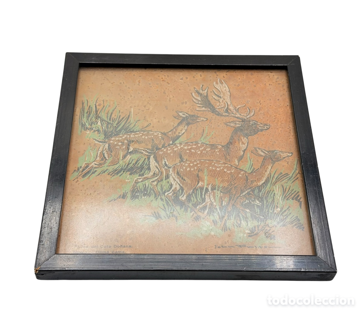 Arte: Antiguo Grabado de Caza Enmarcado