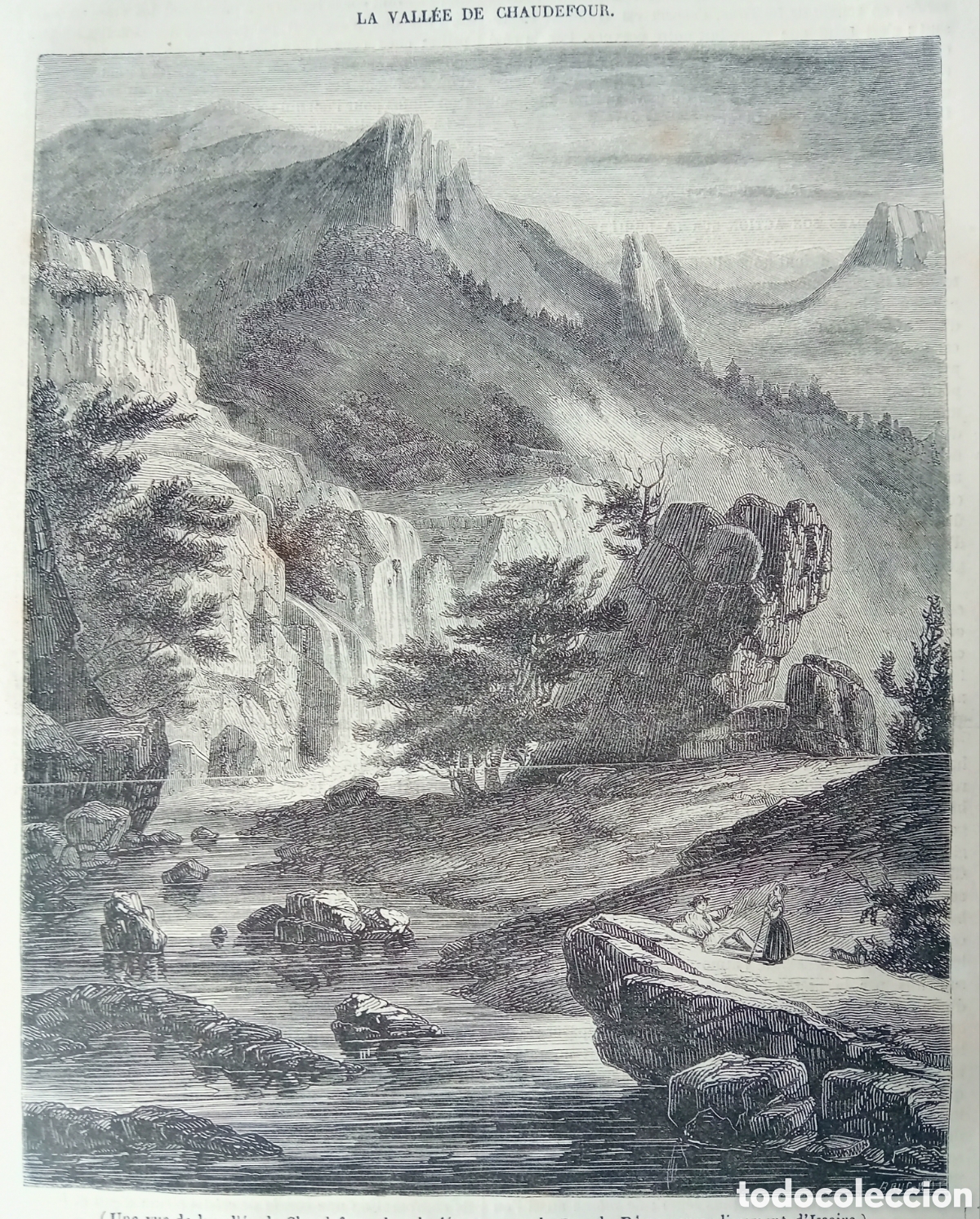 Arte: Grabado Antiguo 1846 - La derrota de los abejorros