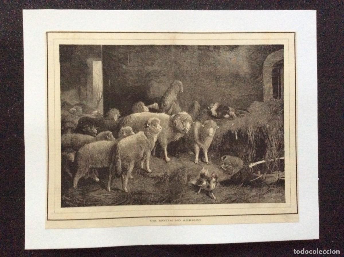 Kunst: Um motim no aprisco - Xilogravura de 1905, retirada de uma gravura de (Friedrich Otto Gebler)