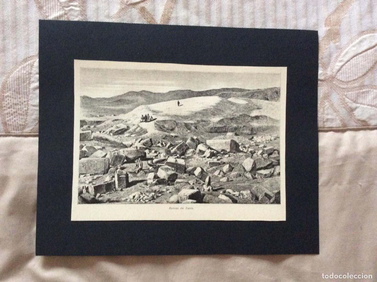 Arte: Tema: M&eacute;dio Oriente - Ruinas de Tanis ( Egipto ). Xilogravura do s&eacute;culo XIX