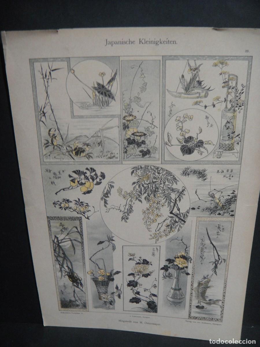 Arte: grabado , motivos decorativos - jul. hoffmann - stuttgart