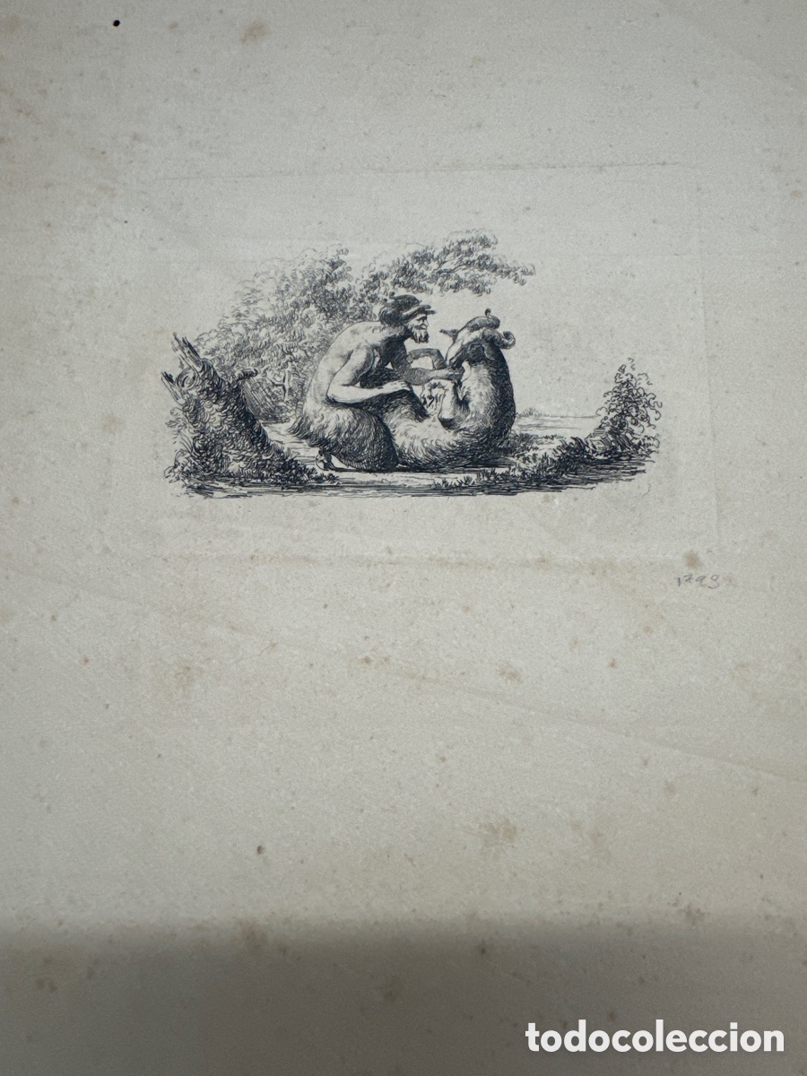 Arte: Vivant Denont satiro apareandose - Foto 1