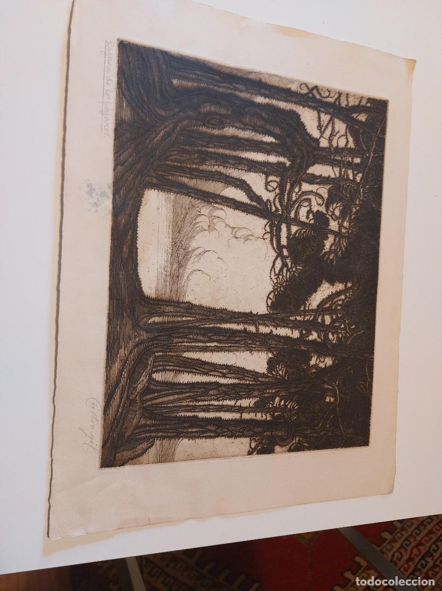 Arte: Grabado original Manuel Castrogil Laguna de Pajaros firmada