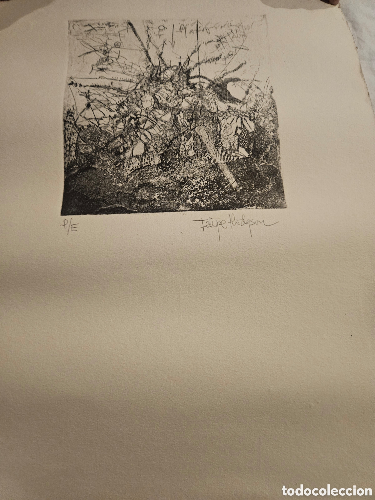 Arte: Felipe Hodqson l&aacute;mina numerada - Foto 2