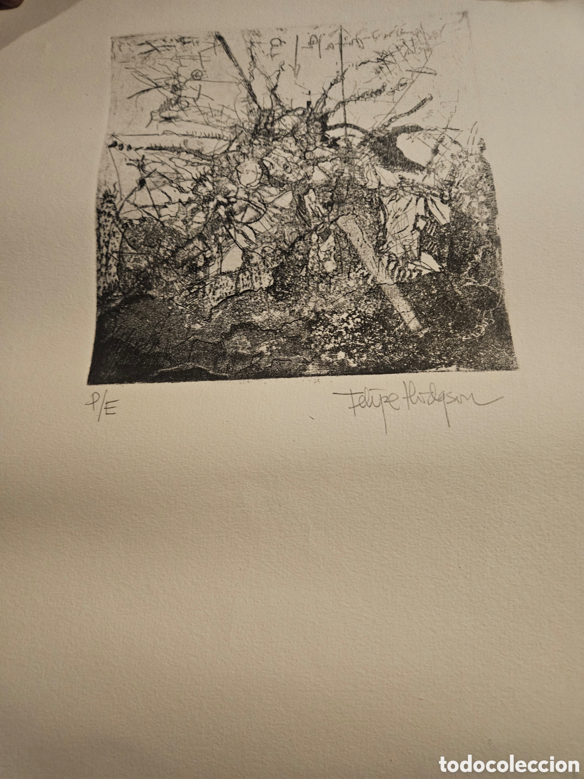 Arte: Felipe Hodqson l&aacute;mina numerada - Foto 3