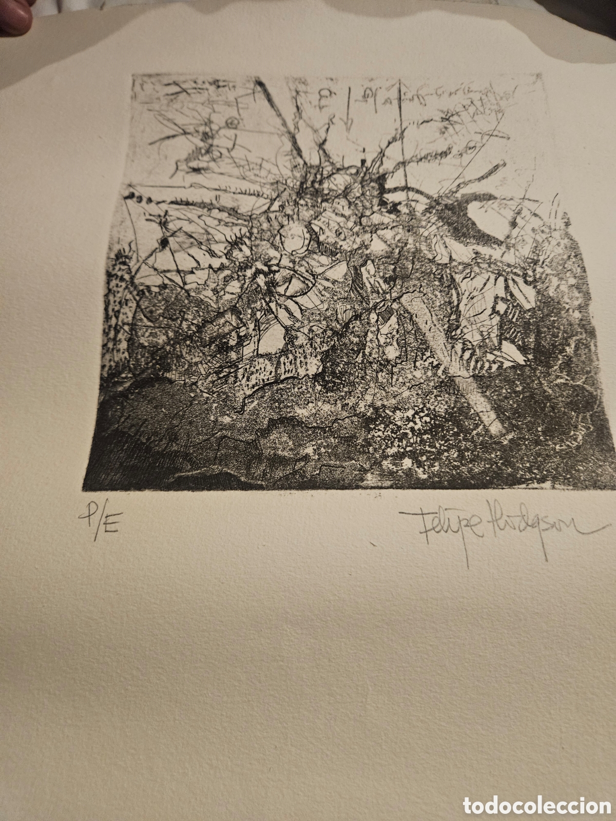 Arte: Felipe Hodqson l&aacute;mina numerada