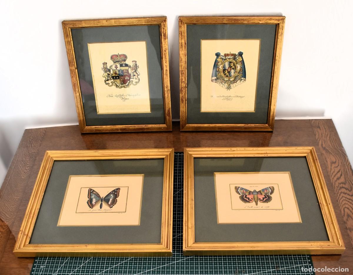 Arte: 4 grabados enmarcados de mariposas y escudos her&aacute;ldicos. Ignoro antig&uuml;edad.