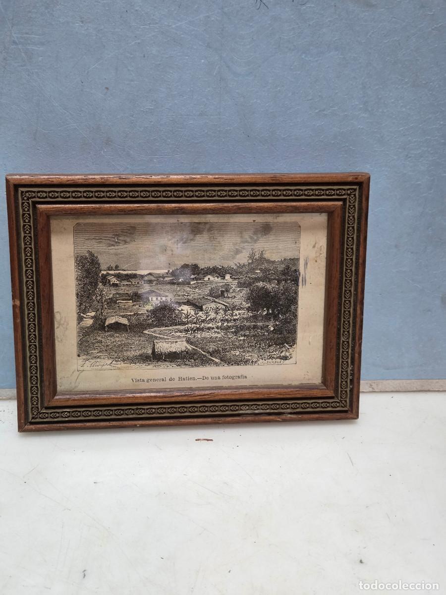 Arte: cuadro con granado antiguo - Foto 1