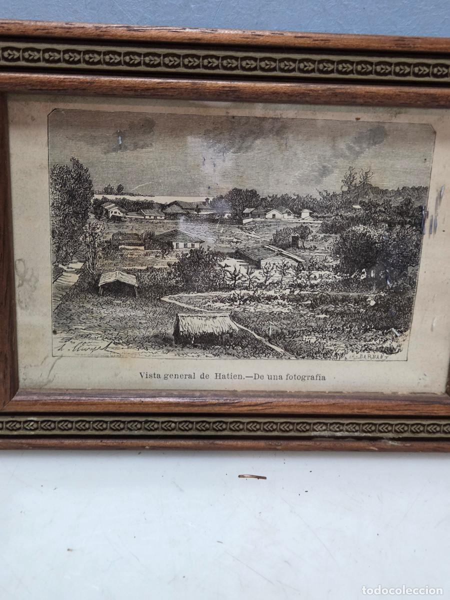 Arte: cuadro con granado antiguo - Foto 2
