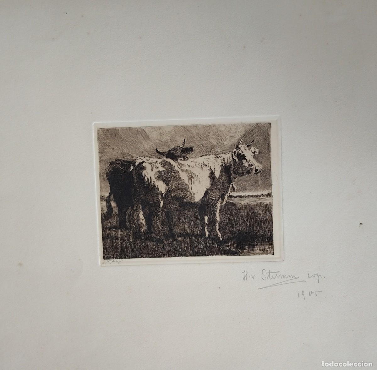 Arte: Escuela Europea Pp SXX Vacas grabado Firmado