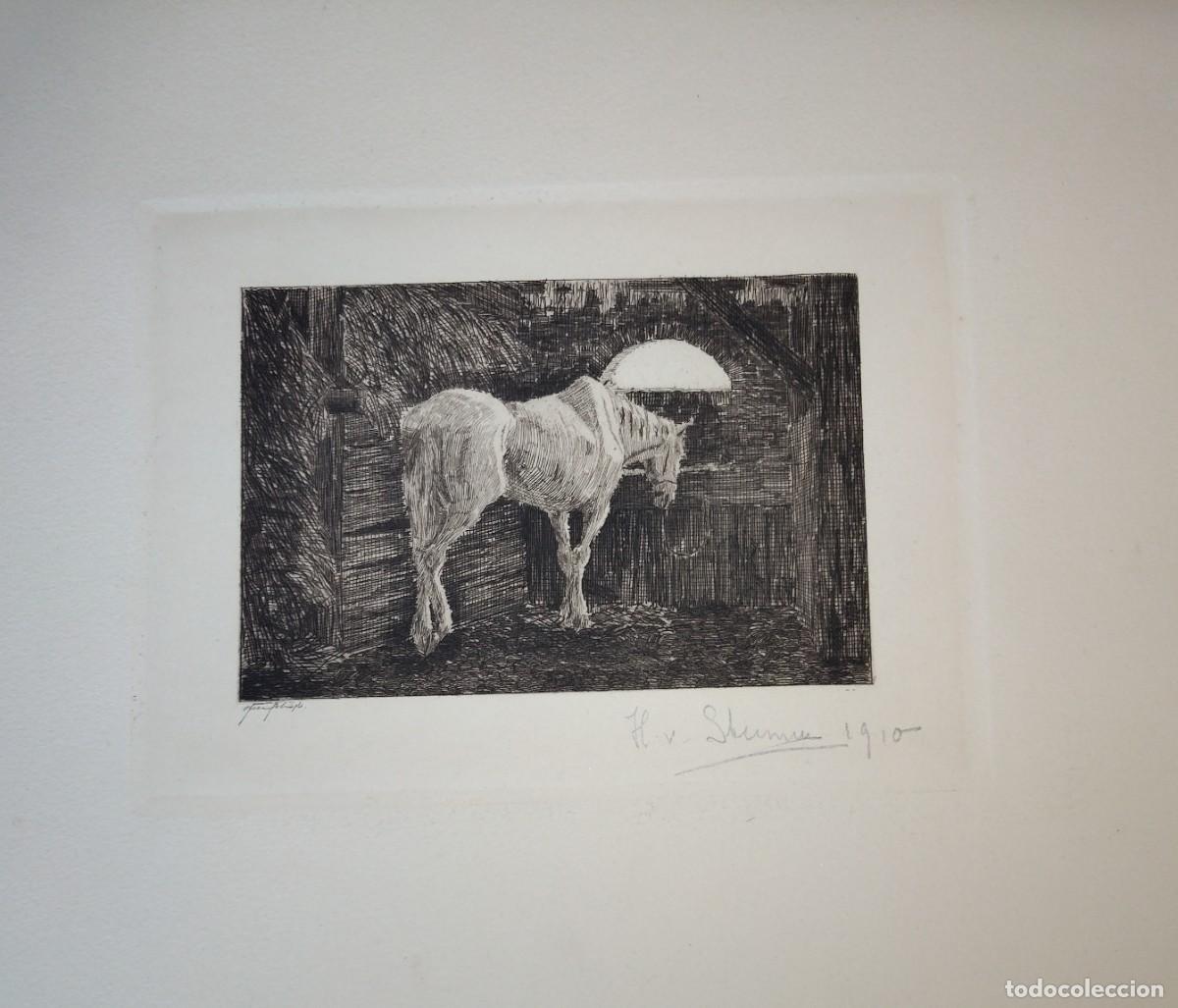 Arte: Escuela europea pp. SXX Caballo en establo grabado Firmado y fechado y 1910