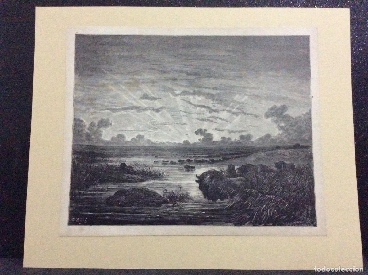 Arte: Gustave Dor&eacute;. Xilografias de Topo originais ( Gravura em madeira ). Cole&ccedil;&atilde;o completa de 33 gravuras