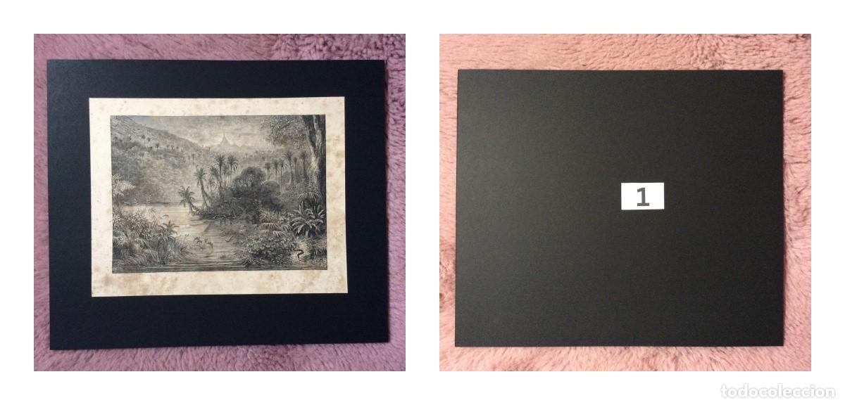 Arte: Gustave Dor&eacute;. Xilografias de Topo originais ( Gravura em madeira ). Cole&ccedil;&atilde;o completa de 12 gravuras
