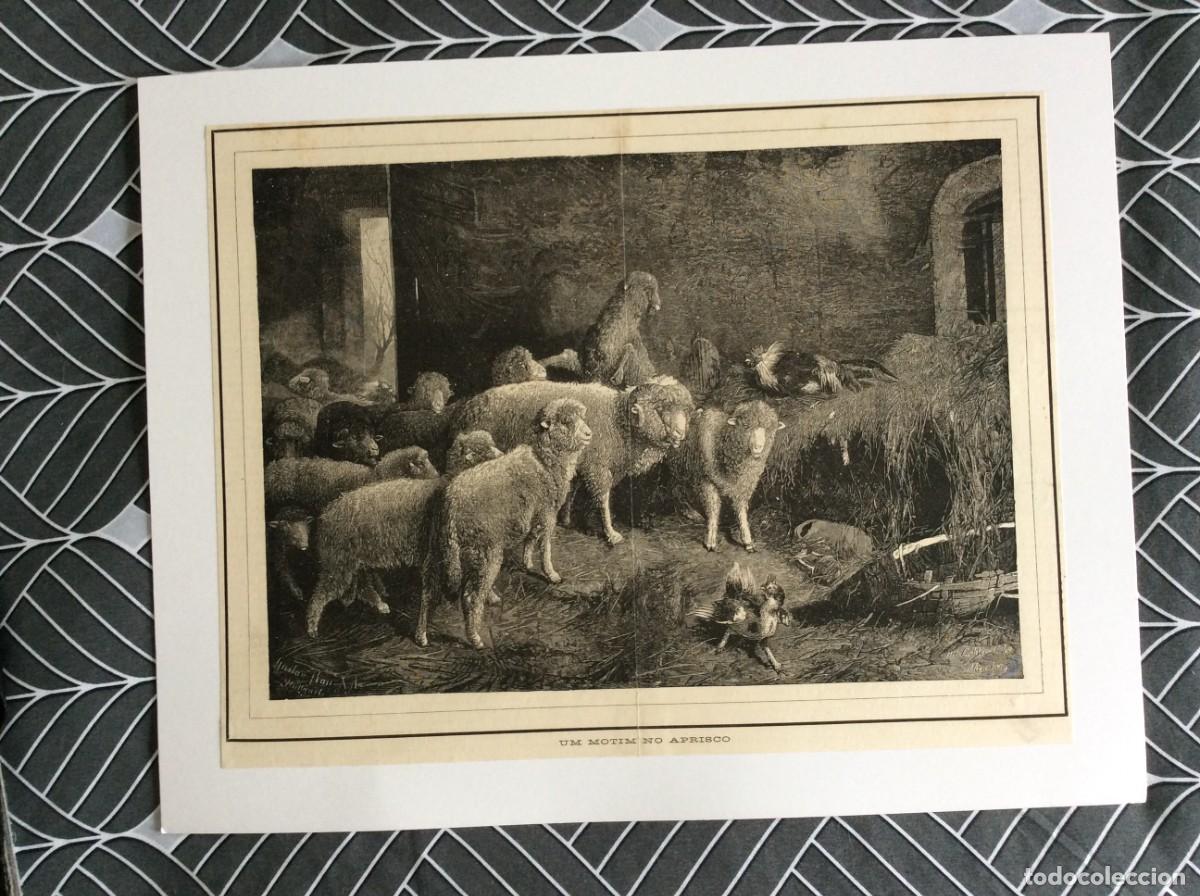 Arte: Um motim no aprisco - Xilogravura de 1905, retirada de uma gravura de (Friedrich Otto Gebler)