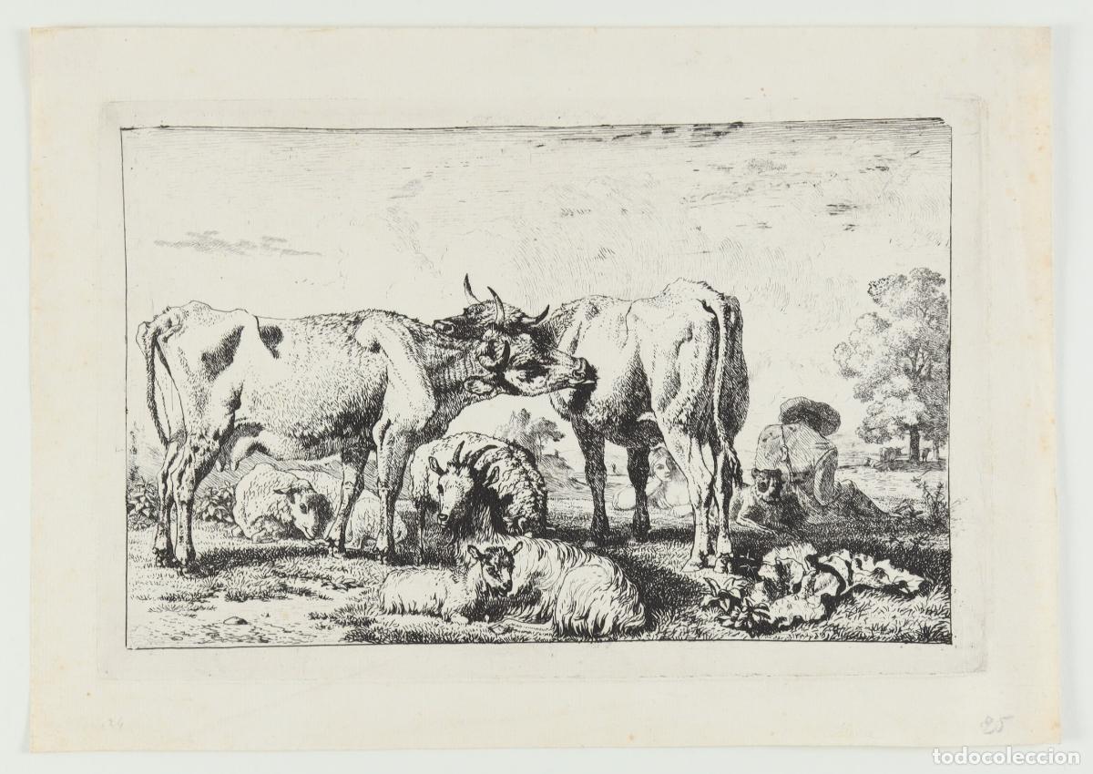 Arte: Vacas - Foto 1