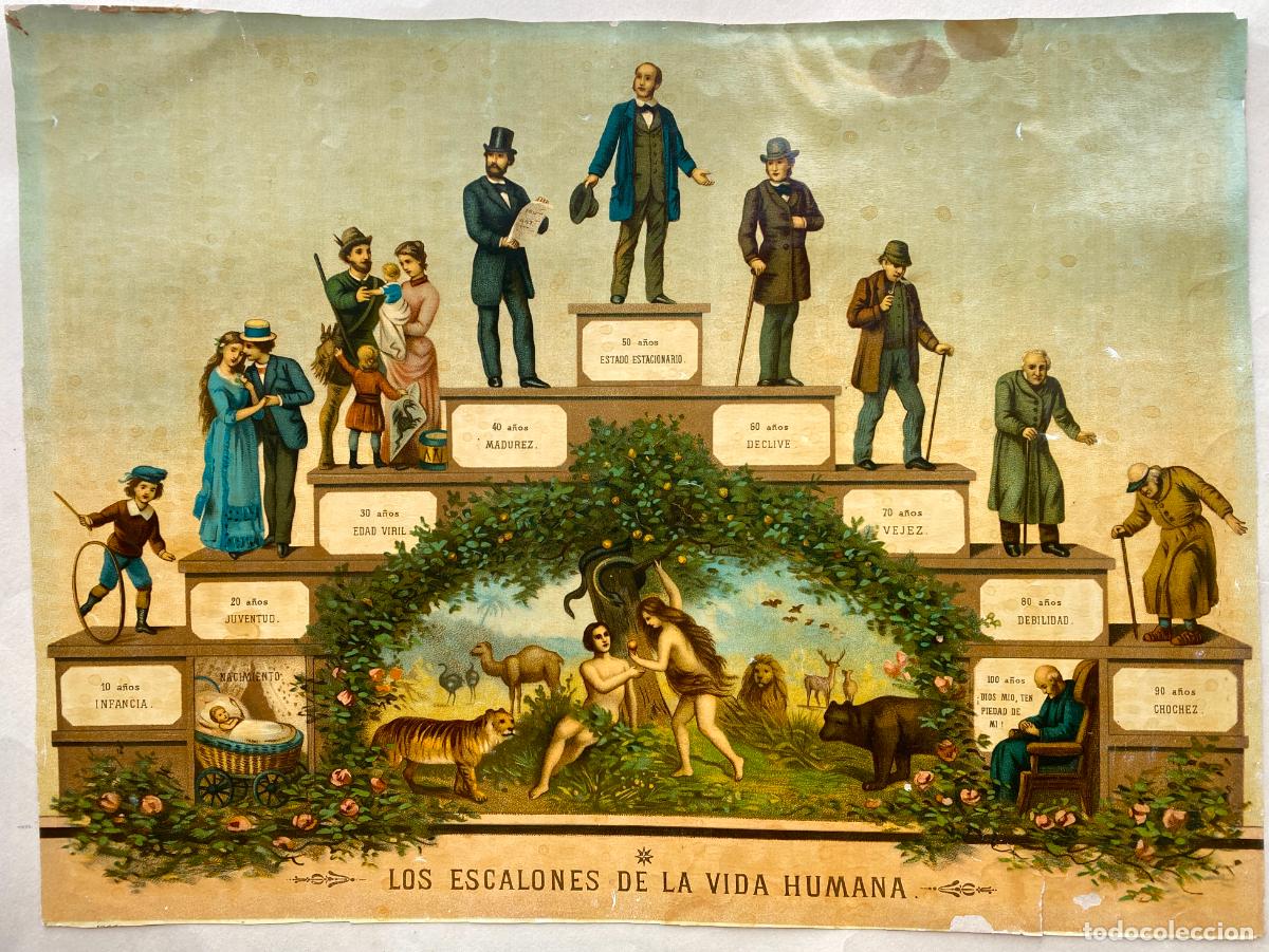 Arte: Escalones de la Vida Humana. Escalera del hombre. Cromolitograf&iacute;a. 1890-1900 h.