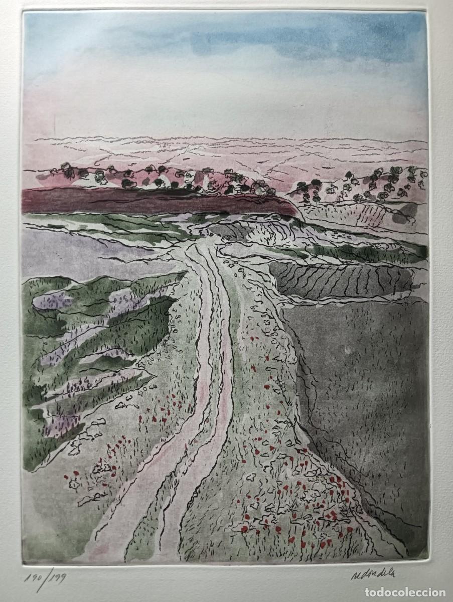Arte: AGUST&Iacute;N REDONDELA (Madrid, 1922-2015) grabado colores de 36x27cms en papel de 52x37c Firma l&aacute;piz num